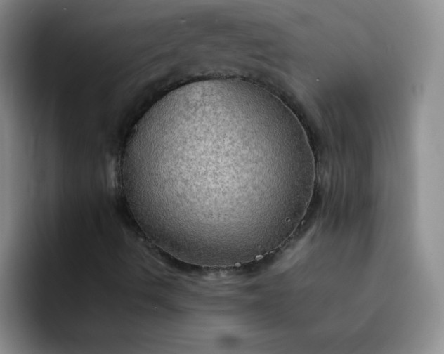 X0000092051490200709261959