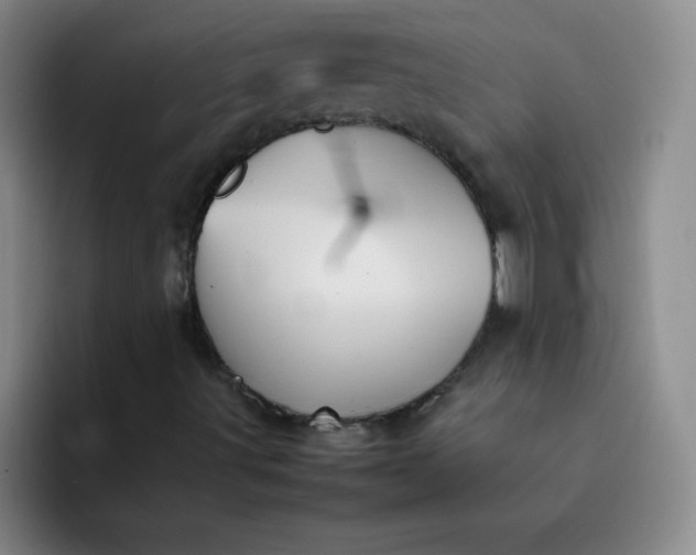 X0000092051491200709261959