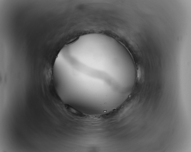 X0000092051492200709261959