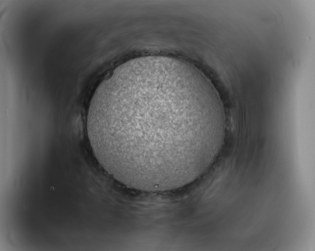 X0000092051493200709261959