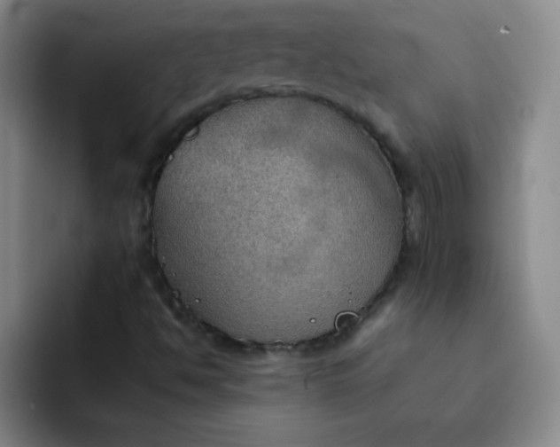 X0000092051494200709261959