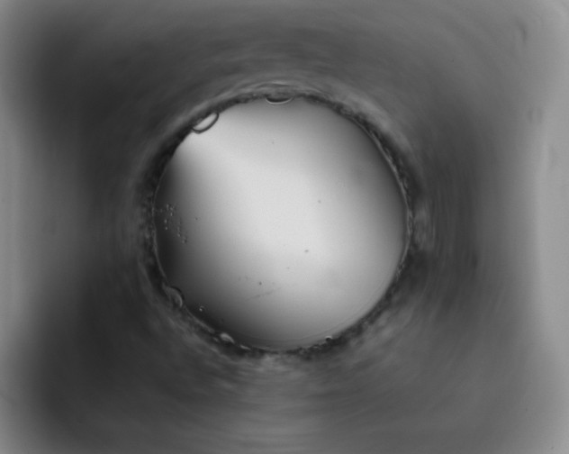 X0000092051496200709261959