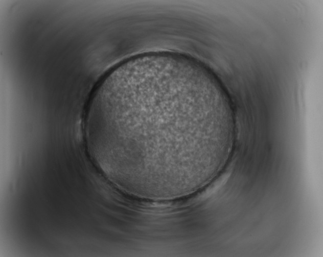 X0000092051497200709261959