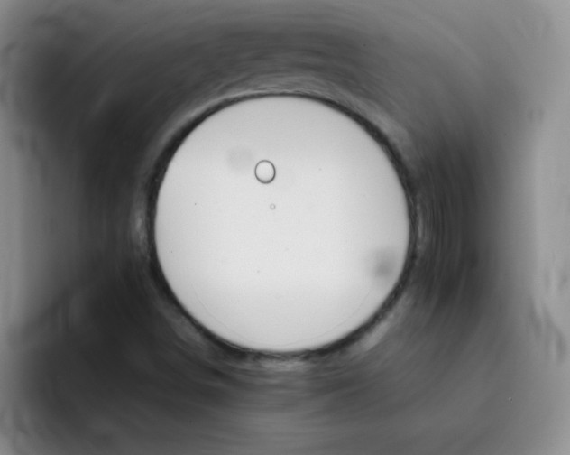 X0000092051498200709261959