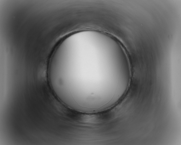 X0000092051499200709261959