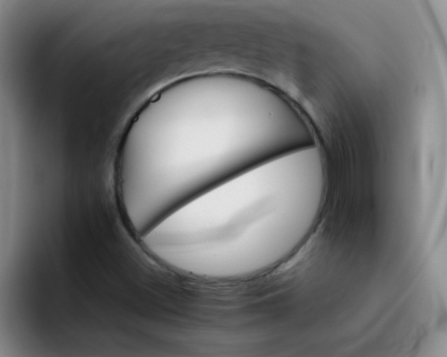 X0000092051500200709261959