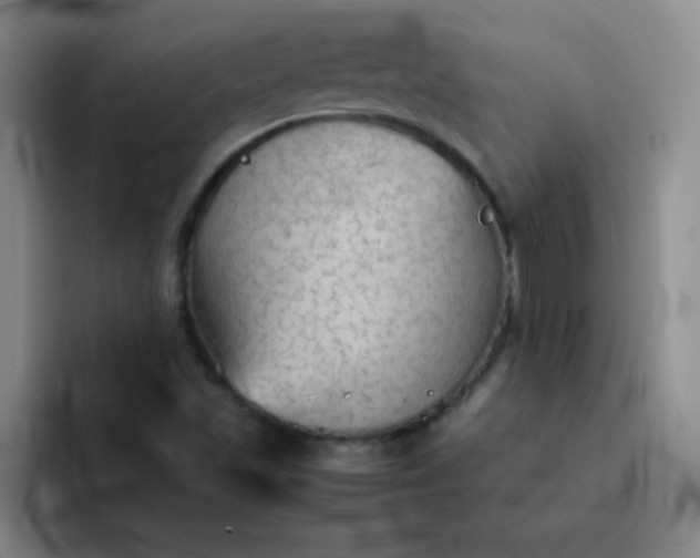 X0000092051501200709261959