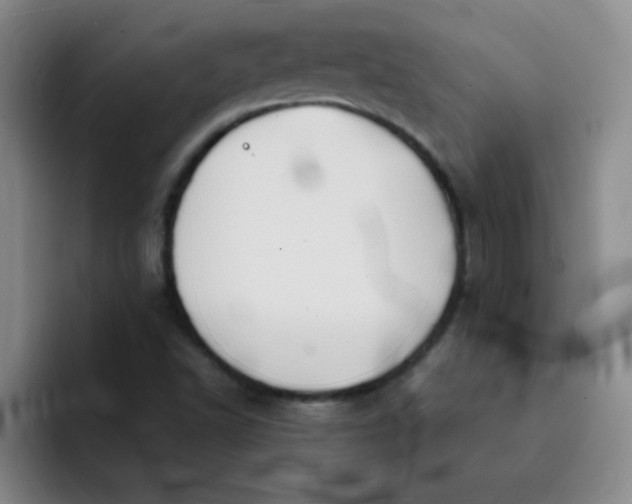 X0000092051502200709261959