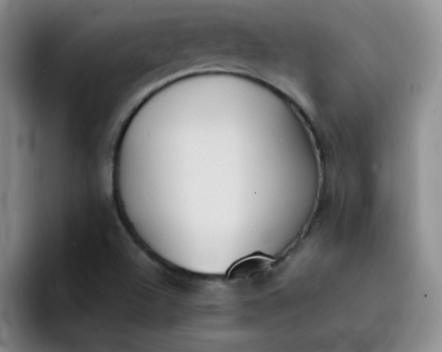 X0000092051504200709262000