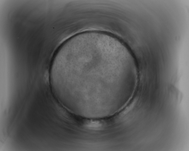 X0000092051505200709262000