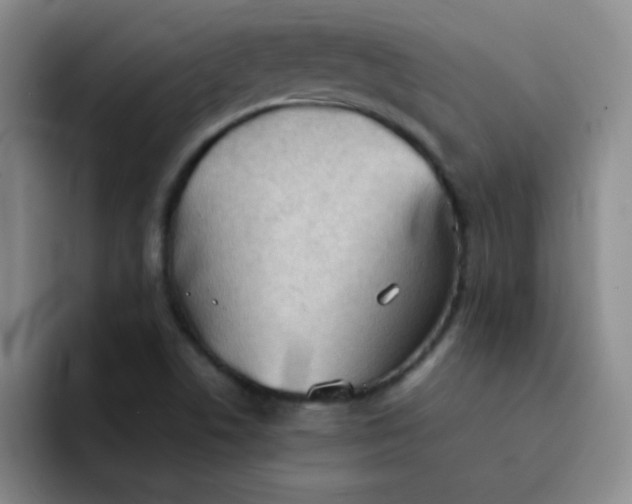 X0000092051506200709262000