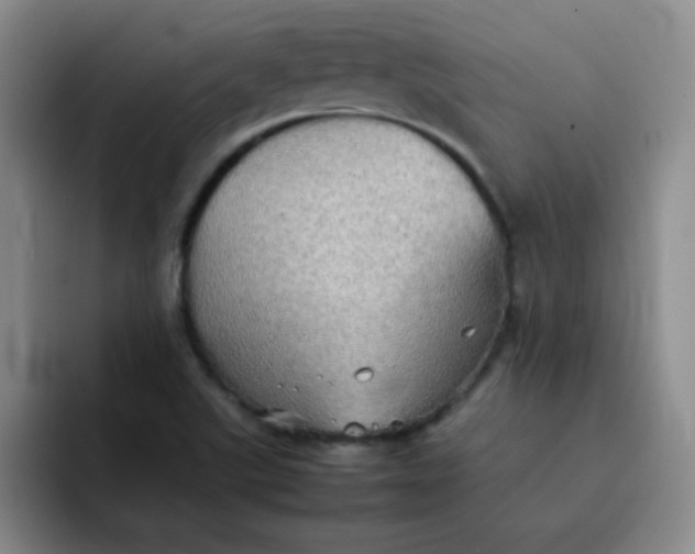 X0000092051507200709262000