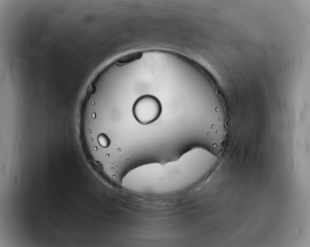 X0000092051508200709262000