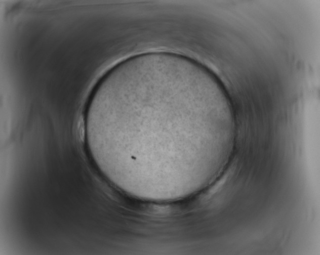 X0000092051509200709262000