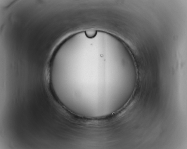 X0000092051510200709262000