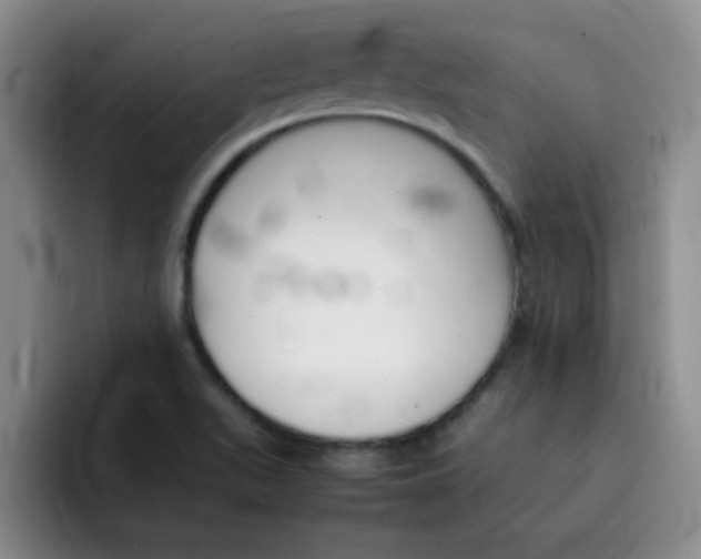 X0000092051511200709262000