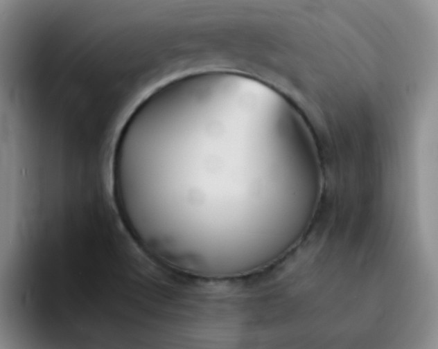 X0000092051512200709262000