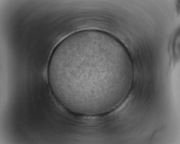 X0000092051513200709262000