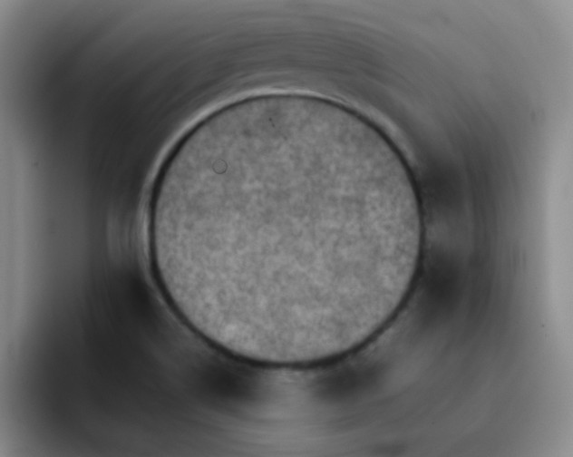 X0000092051514200709262000