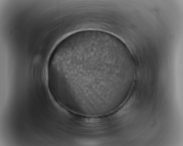 X0000092051515200709262000