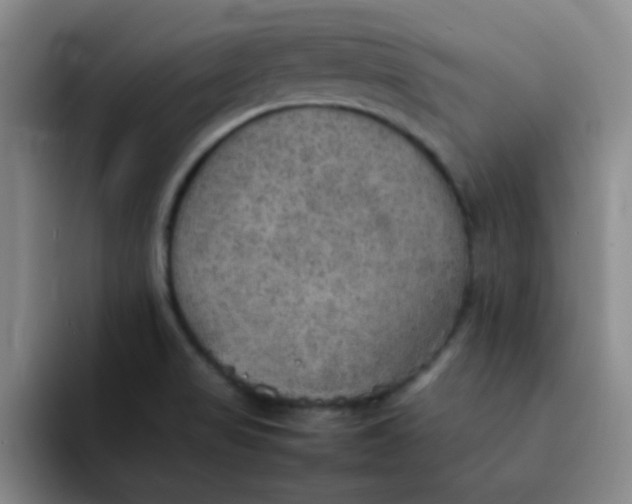 X0000092051517200709262000