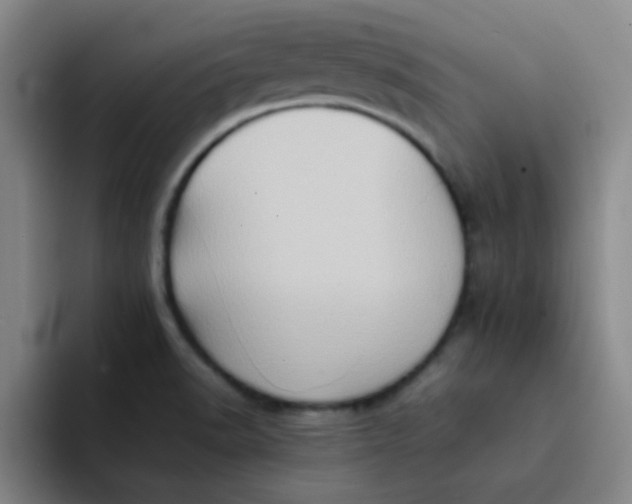 X0000092051518200709262000