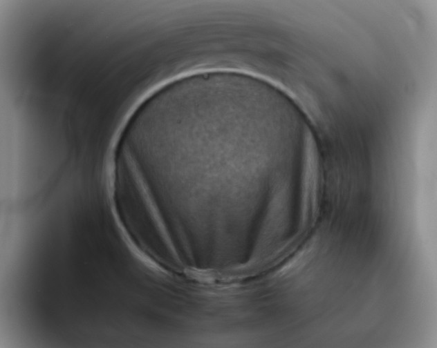 X0000092051519200709262000