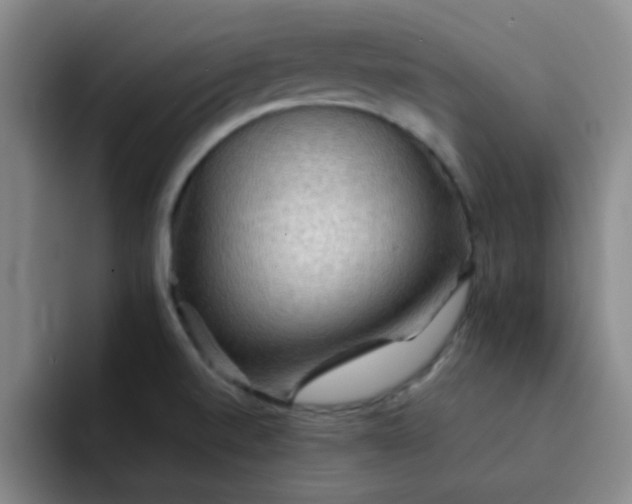 X0000092051520200709262000