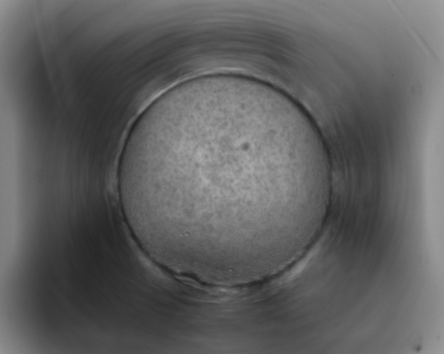 X0000092051521200709262000