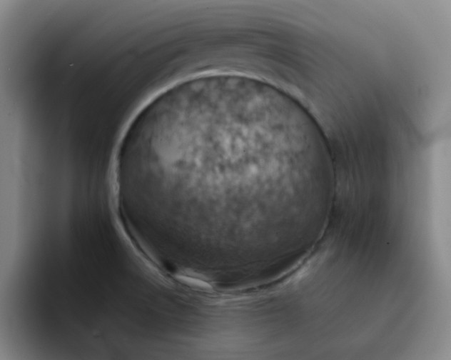 X0000092051522200709262000