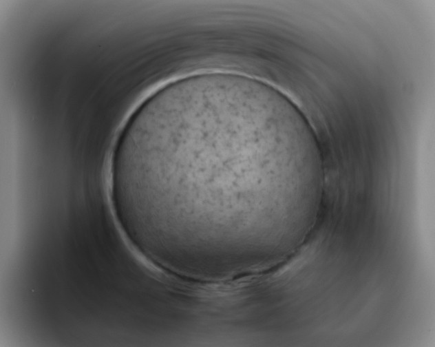 X0000092051523200709262000