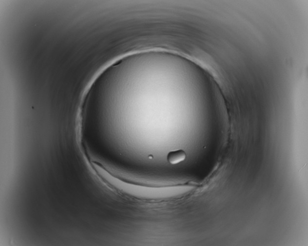 X0000092051524200709262000