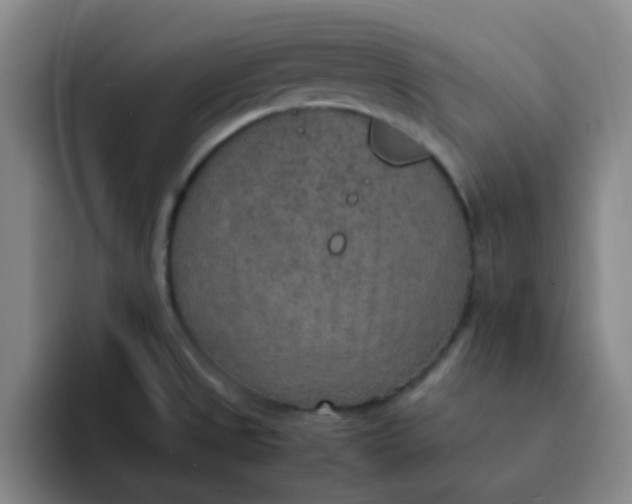 X0000092051525200709262000