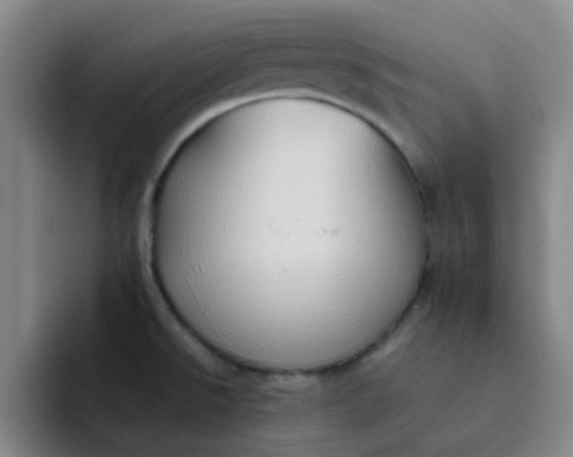 X0000092051526200709262000