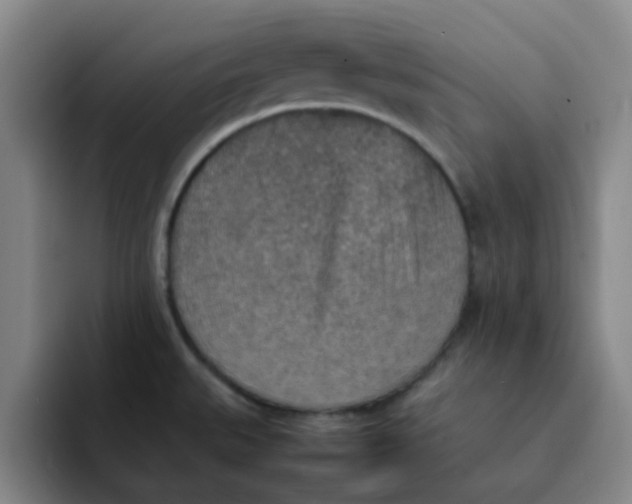 X0000092051527200709262000