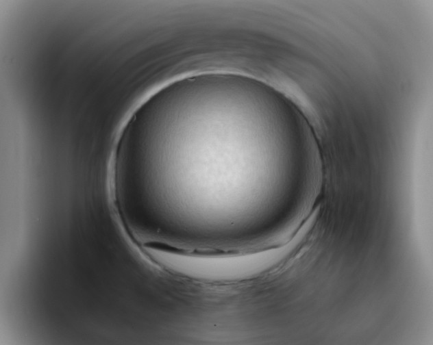 X0000092051528200709262000