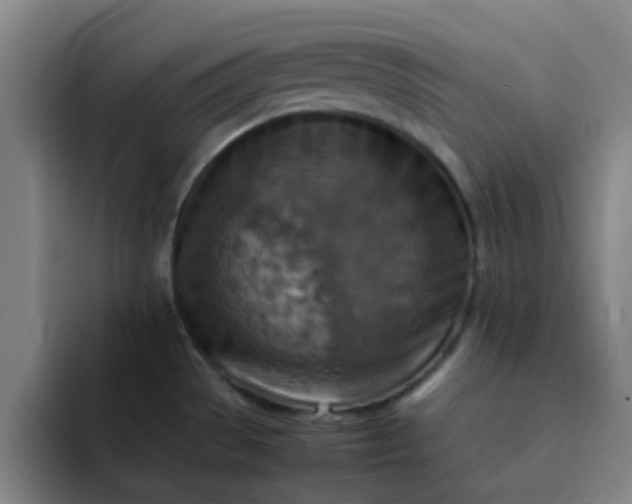 X0000092051529200709262000