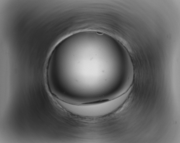 X0000092051530200709262000