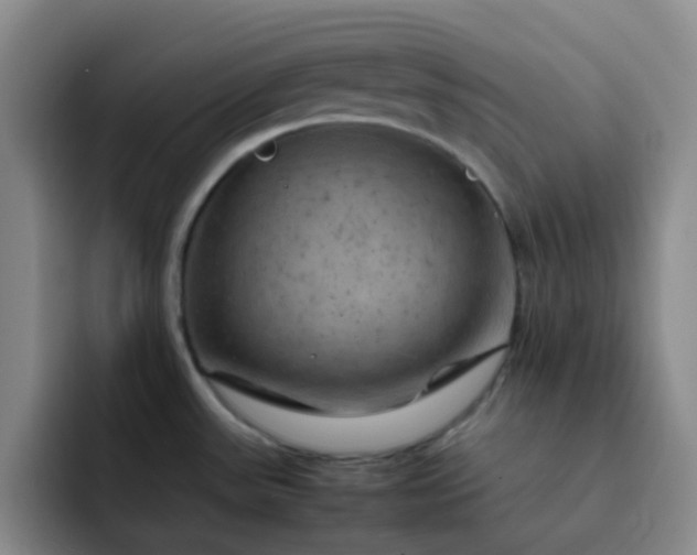 X0000092051531200709262000