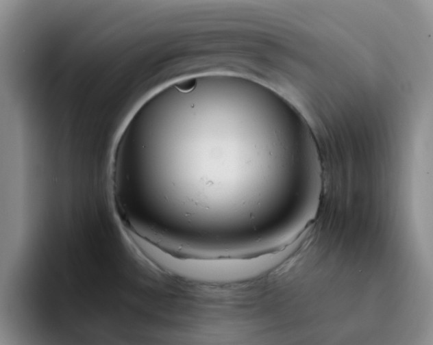 X0000092051532200709262000