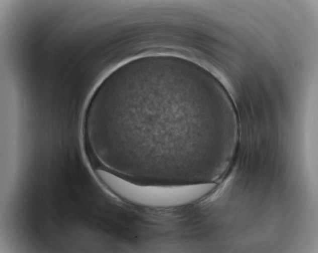 X0000092051533200709262000