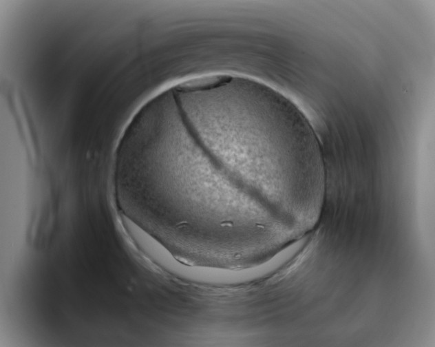 X0000092051534200709262000