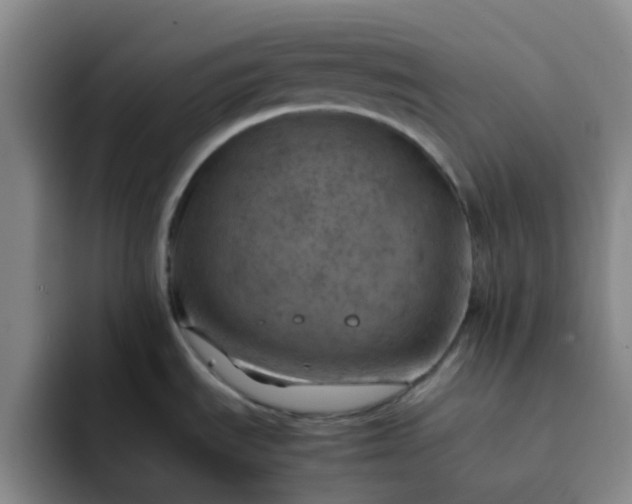 X0000092051535200709262000