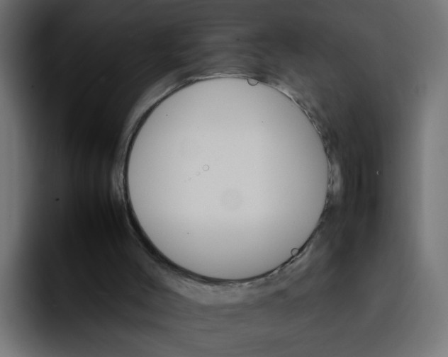 X0000092050004200710031051