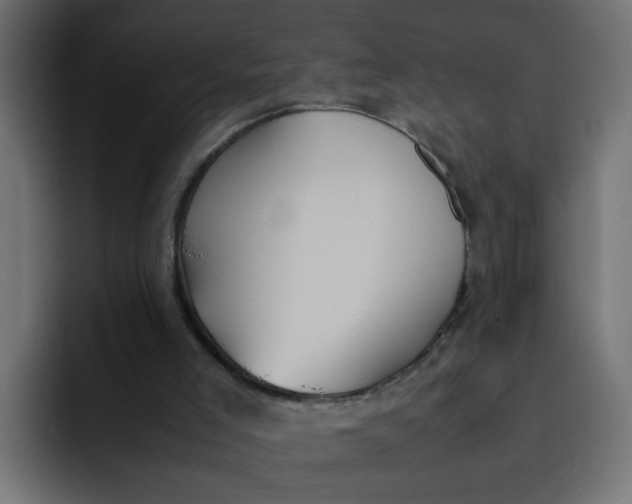 X0000092050005200710031051