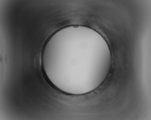 X0000092050011200710031051