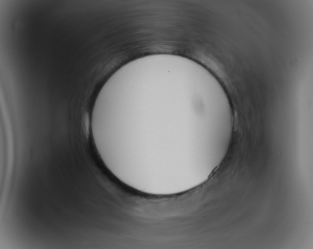 X0000092050013200710031051