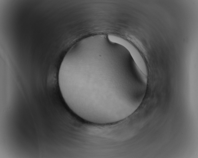 X0000092050017200710031050