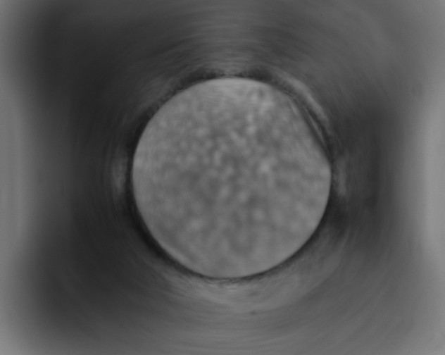 X0000092050018200710031050