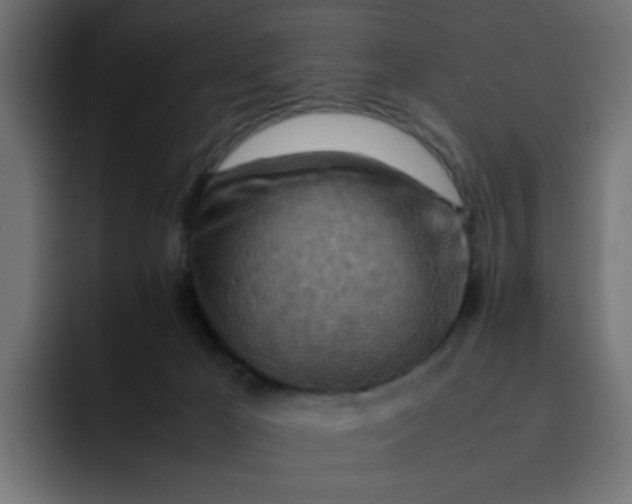 X0000092050029200710031050